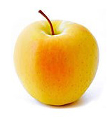 D&eacute;couvrir notre soci&eacute;t&eacute;