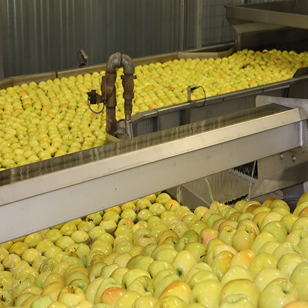 station fruitiere n&deg;3