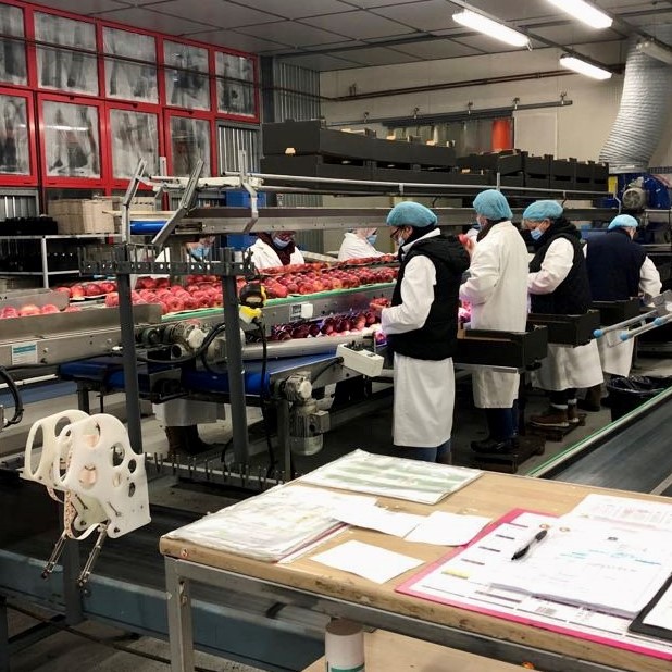 station fruitiere n&deg;2